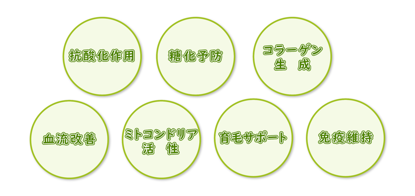 アムラの7大要素