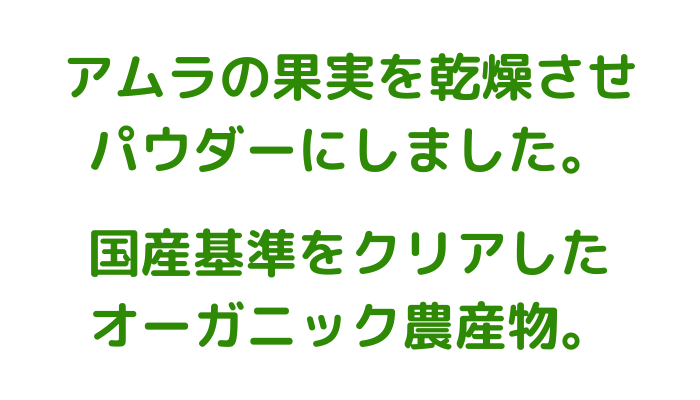 アムラの果実を乾燥させ パウダーにしました。国産基準をクリアした オーガニック農産物。