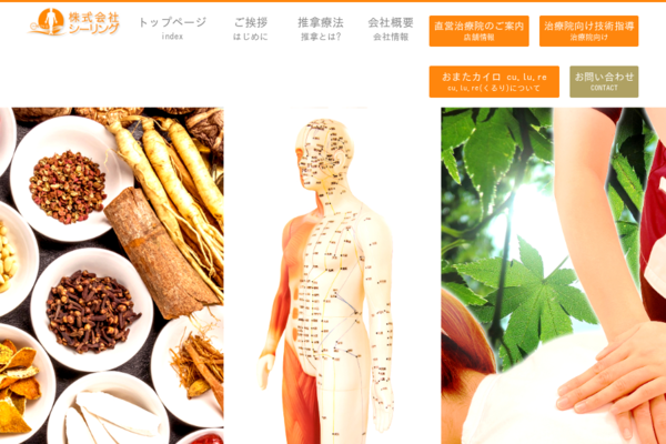 症状/疾患別 中医正骨・推拿 写真でみる準備手技と治療実践 症状／疾患別 中医正骨・推拿－写真でみる準備手技と治療実技