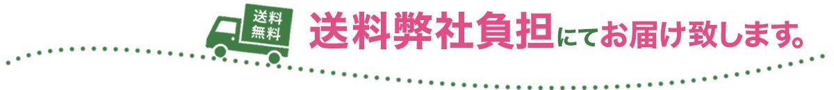 送料弊社負担にてお届けいたします。